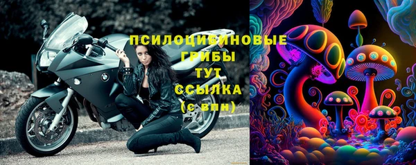 эйфоретик Алексеевка