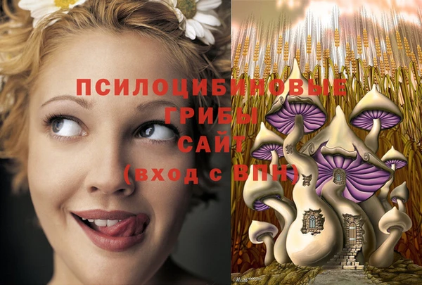 амф Алзамай