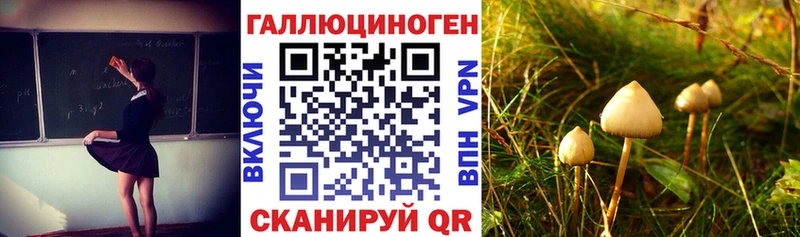 Псилоцибиновые грибы GOLDEN TEACHER  MEGA вход  Енисейск 